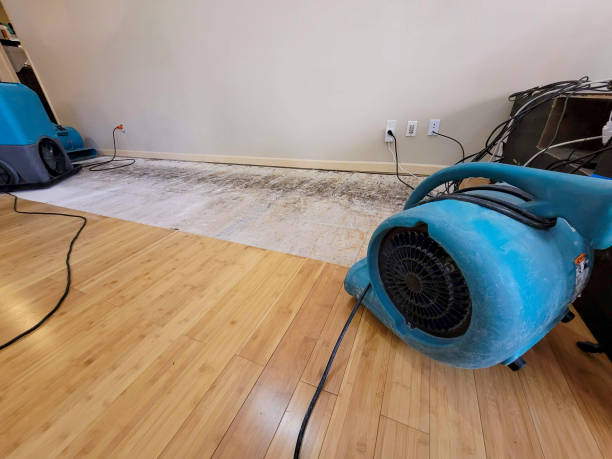 Professional Water Damage Repair technician working in Hiram, ME